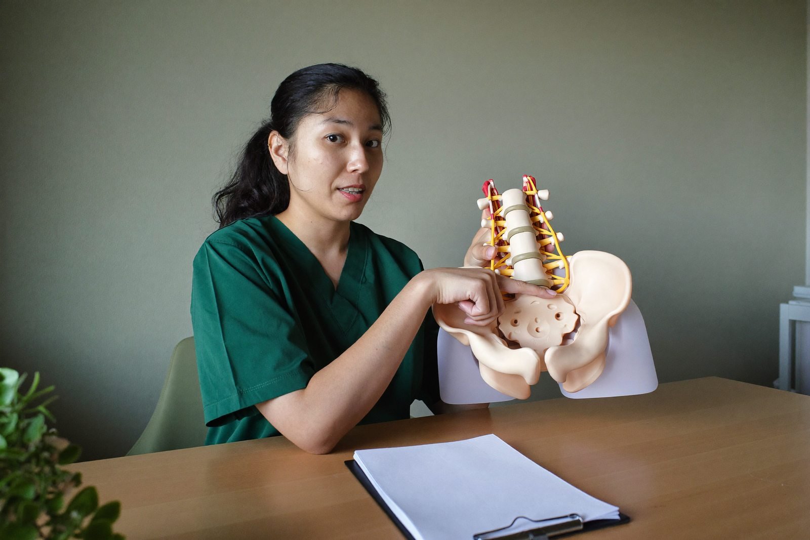 The anatomy explained before anything is examined