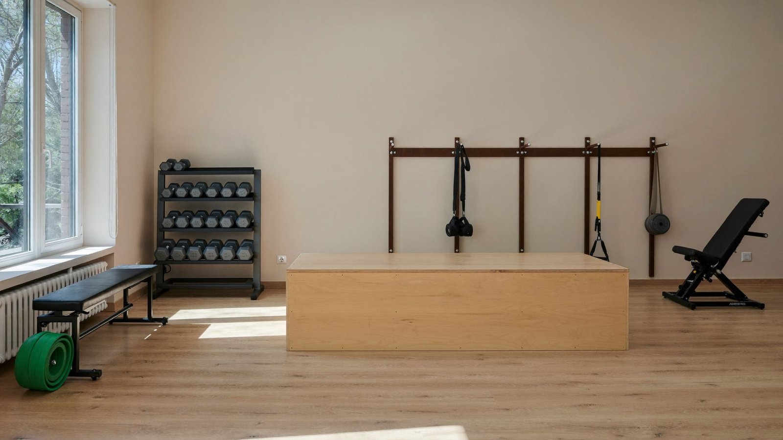 The rehabilitation area, small and set up for real work